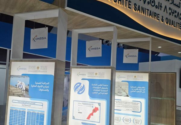 WhatsApp Image 2025-02-17 at 11.33.57