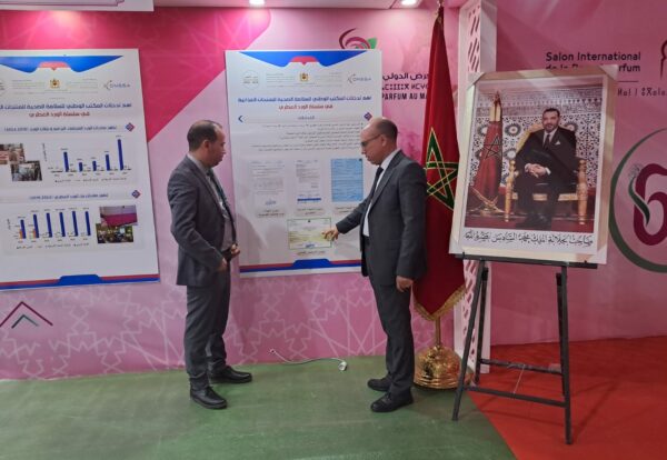 WhatsApp Image 2025-05-08 at 09.52.30